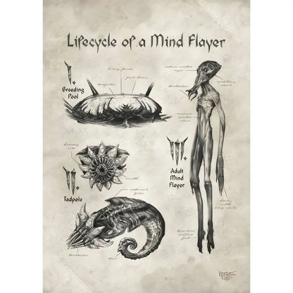 Dungeons & Dragons - Wall Art